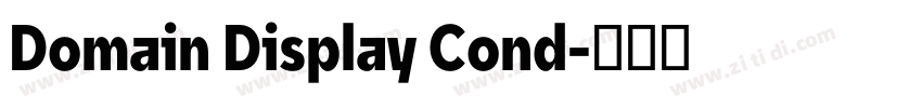 Domain Display Cond字体转换 Domain Display Cond字体转换